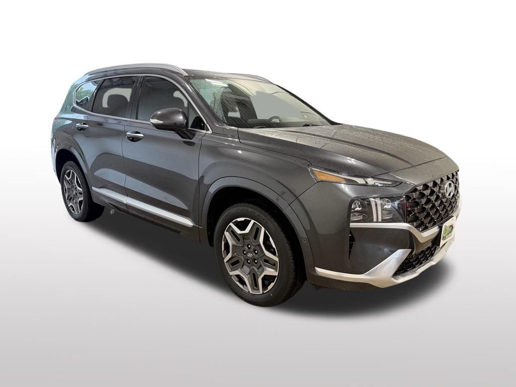 2021 Hyundai Santa Fe Calligraphy